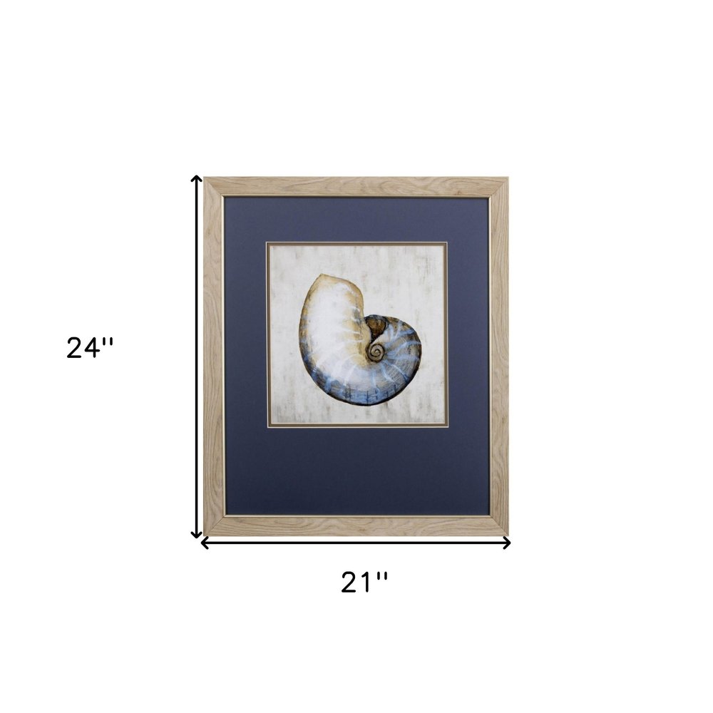 Set of Two Ocean Seashells Wall Art