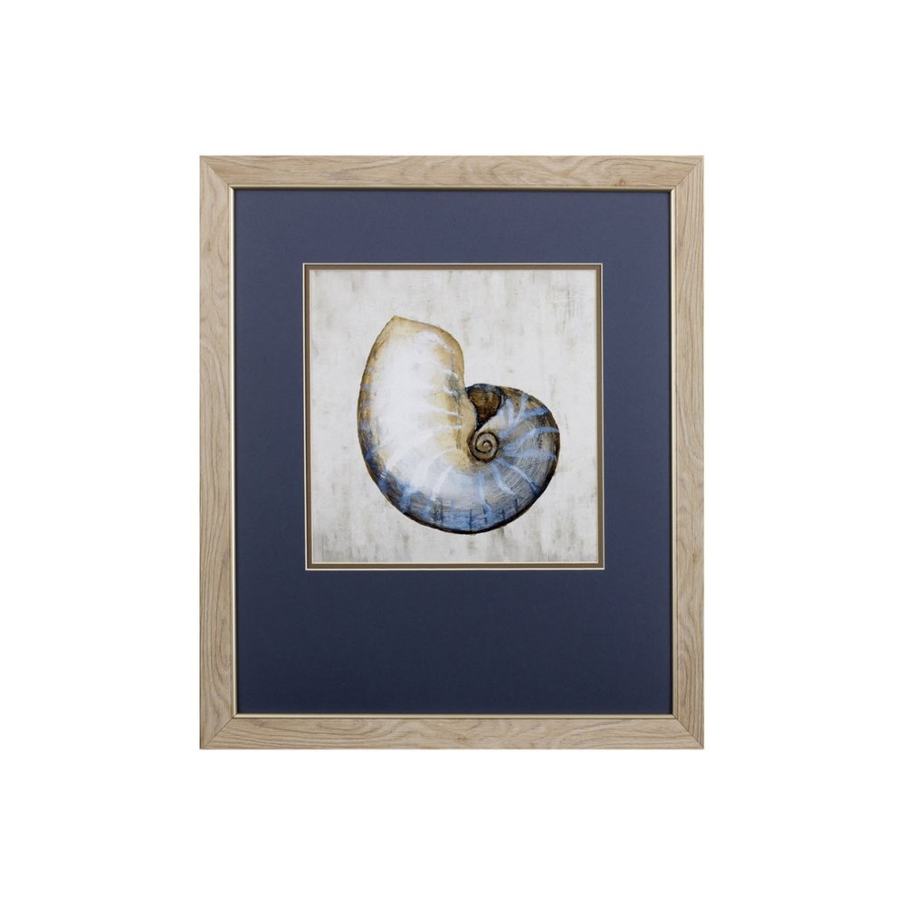 Set of Two Ocean Seashells Wall Art