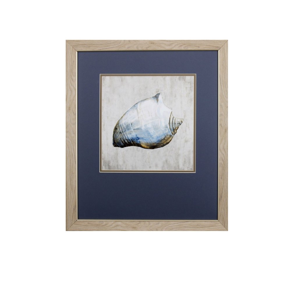 Set of Two Ocean Seashells Wall Art