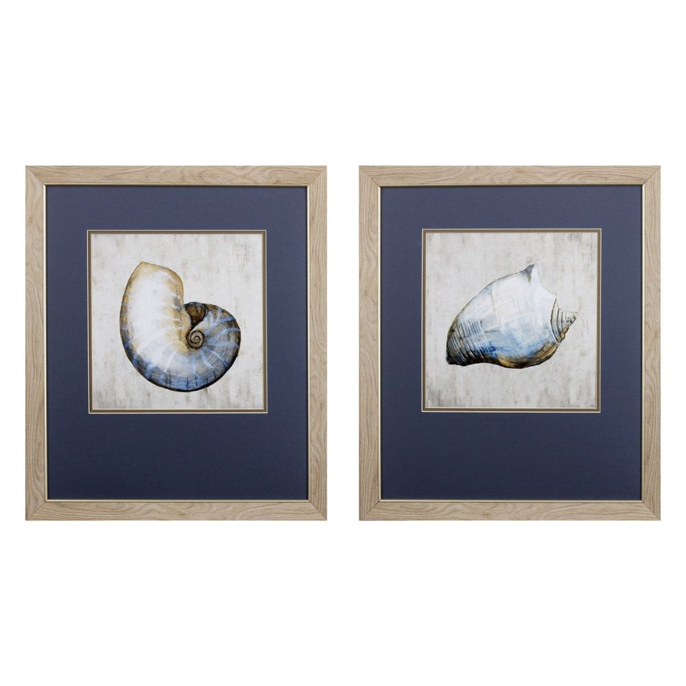 Set of Two Ocean Seashells Wall Art