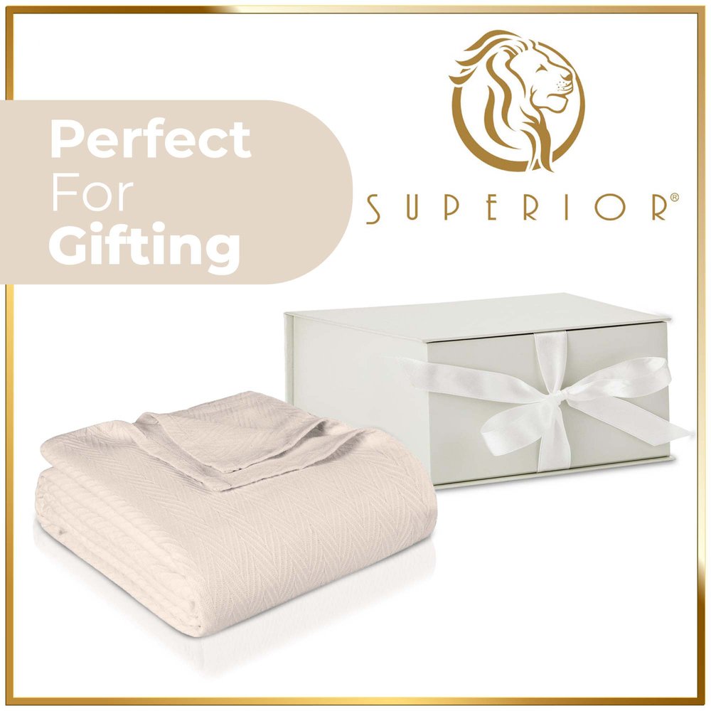 Twin Ivory Chevron Cotton Woven Blanket